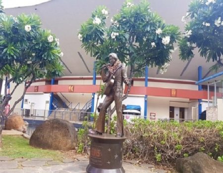 14/1/1973: ALOHA FROM HAWAII, Sattelite Special