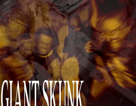 Giant Skunk – Nice To Meet You