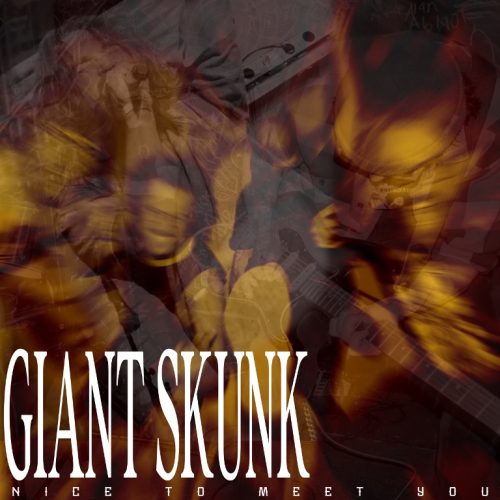 Giant Skunk – Nice To Meet You