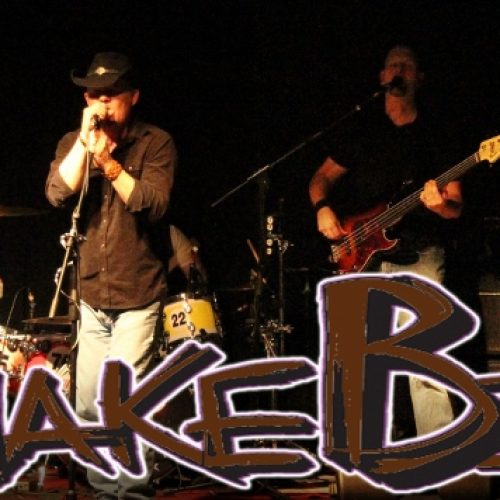 SnakeBite Band